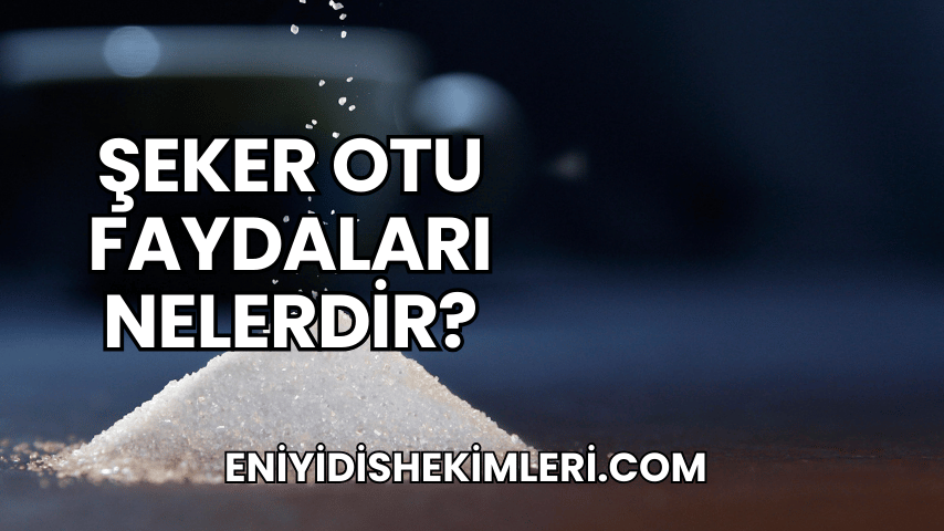 Şeker Otu Faydaları Nelerdir?