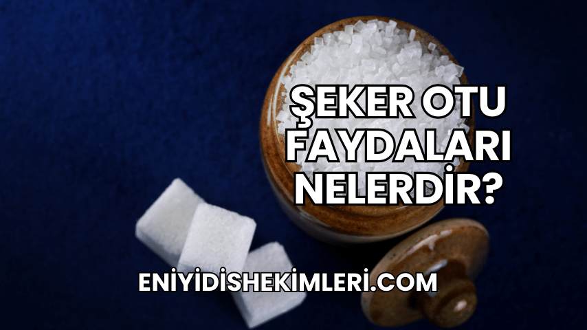 Şeker Otu Faydaları Nelerdir?