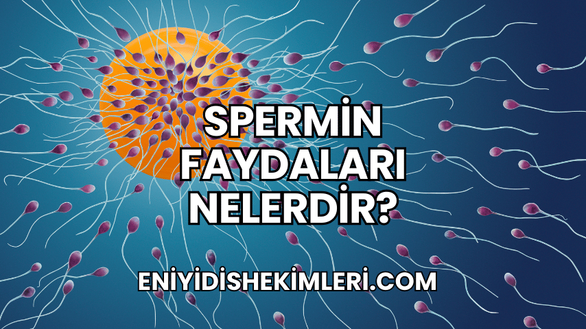 Spermin Faydaları Nelerdir?