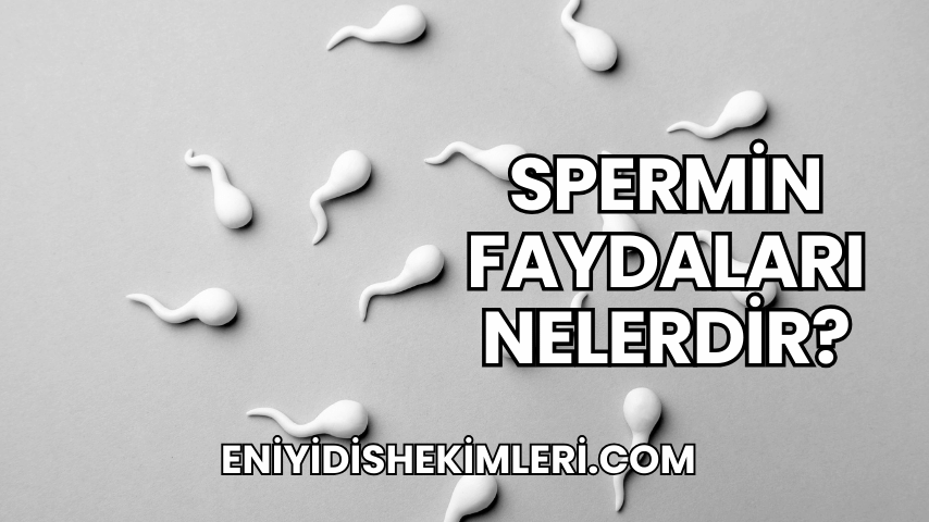 Spermin Faydaları Nelerdir?