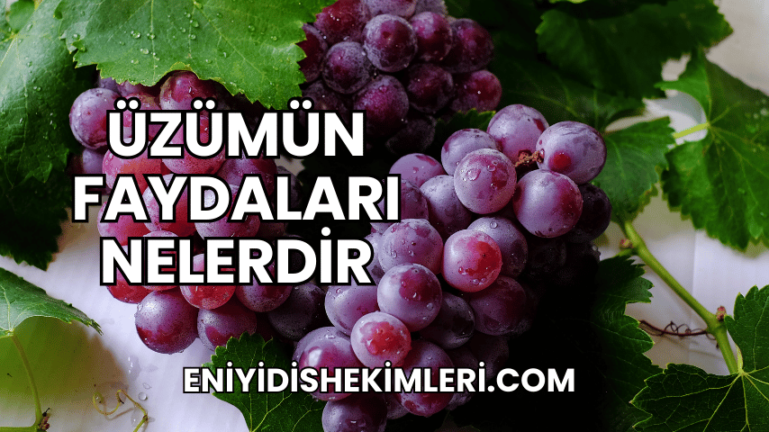 Üzümün Faydaları Nelerdir