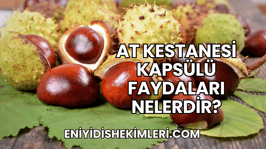 At Kestanesi Kapsülü Faydaları Nelerdir?