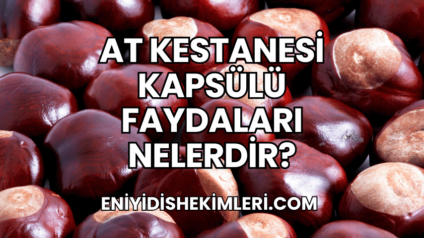 At Kestanesi Kapsülü Faydaları Nelerdir?