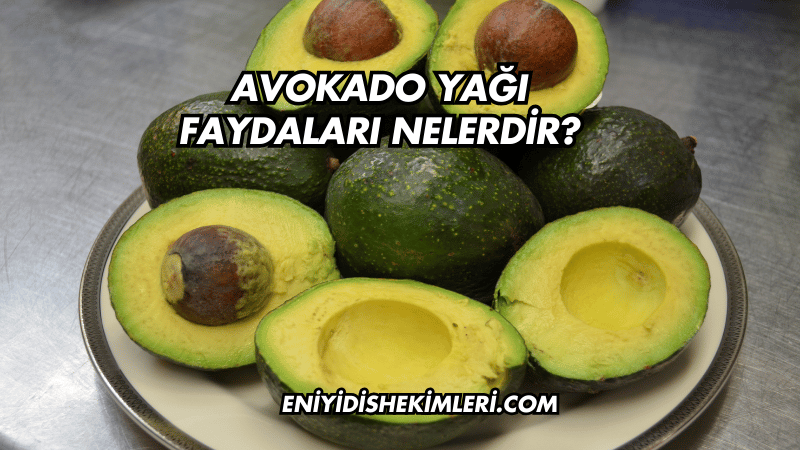 Avokado Yağı Faydaları Nelerdir?