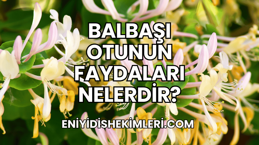 Balbaşı Otunun Faydaları Nelerdir?