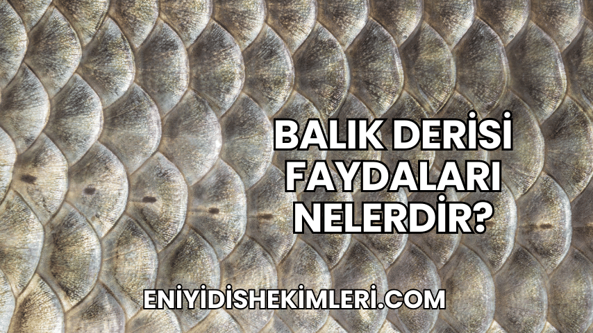 Balık Derisi Faydaları Nelerdir?