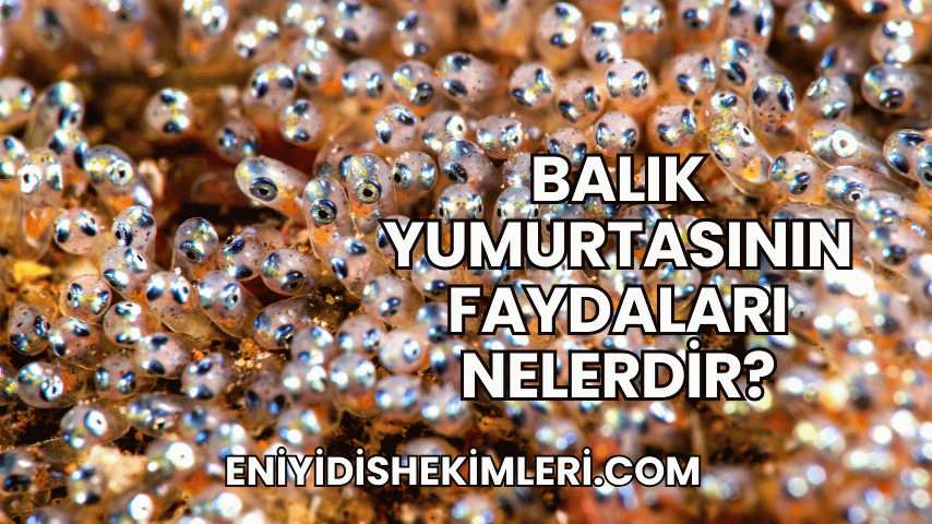 Balık Yumurtasının Faydaları Nelerdir?