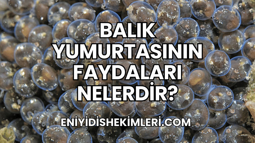 Balık Yumurtasının Faydaları Nelerdir?