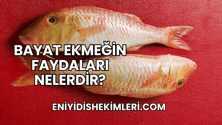 Barbun Balığının Faydaları Nelerdir?