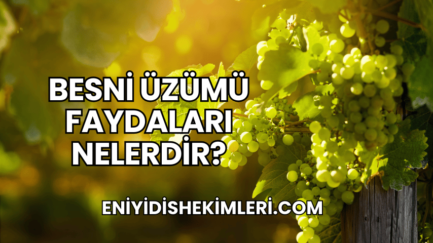 Besni Üzümü Faydaları Nelerdir?