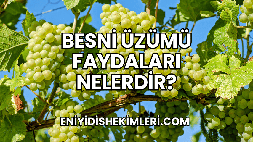 Besni Üzümü Faydaları Nelerdir?