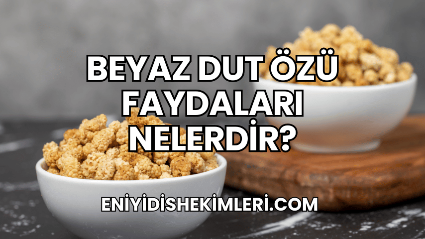 Beyaz Dut Özü Faydaları Nelerdir?