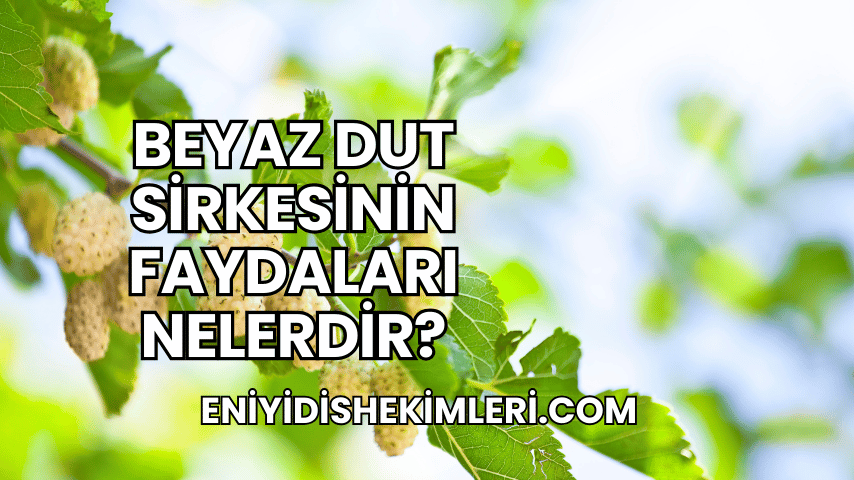 Beyaz Dut Sirkesinin Faydaları Nelerdir?