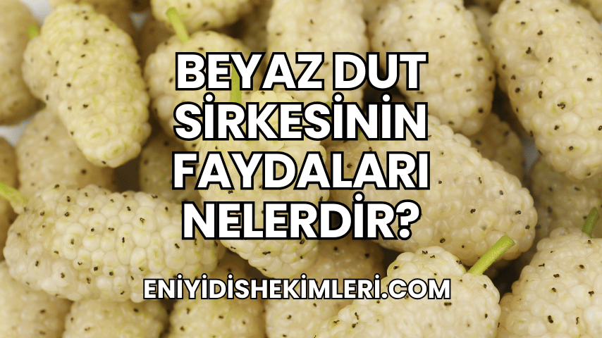 Beyaz Dut Sirkesinin Faydaları Nelerdir?