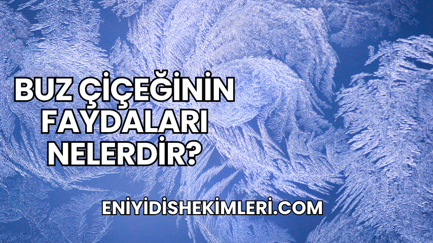 Buz Çiçeğinin Faydaları Nelerdir?