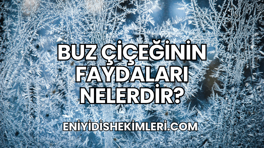 Buz Çiçeğinin Faydaları Nelerdir?