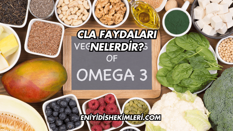 CLA Faydaları Nelerdir?