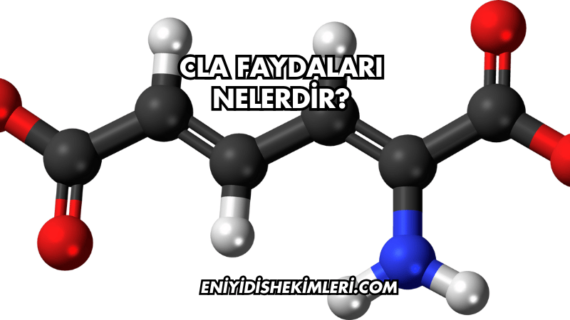 CLA Faydaları Nelerdir?