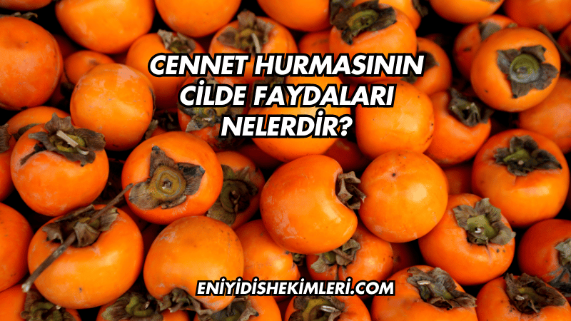 Cennet Hurmasının Cilde Faydaları Nelerdir?