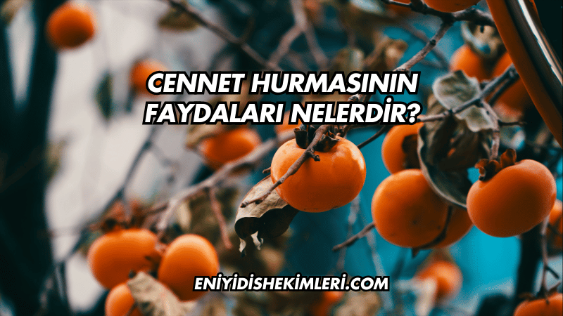 Cennet Hurmasının Faydaları Nelerdir?