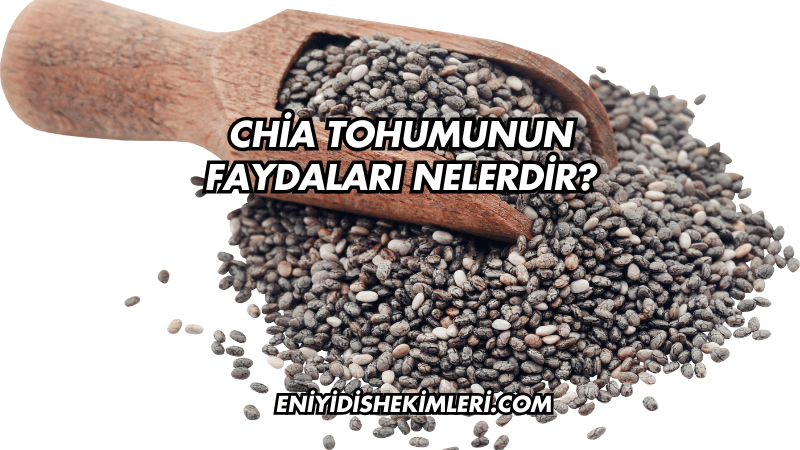 Chia Tohumunun Faydaları Nelerdir?