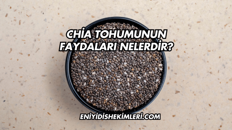 Chia Tohumunun Faydaları Nelerdir?