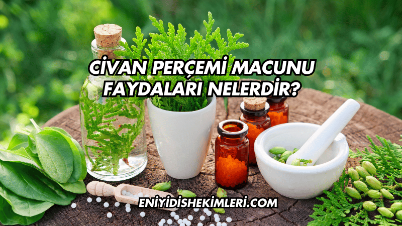 Civan Perçemi Macunu Faydaları Nelerdir?