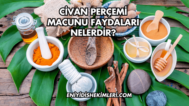 Civan Perçemi Macunu Faydaları Nelerdir?