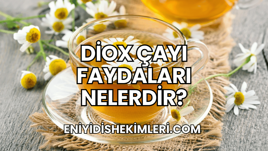 Diox Çayı Faydaları Nelerdir?