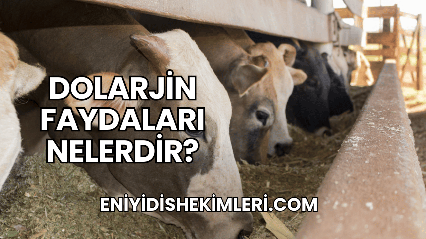 Dolarjin Faydaları Nelerdir?