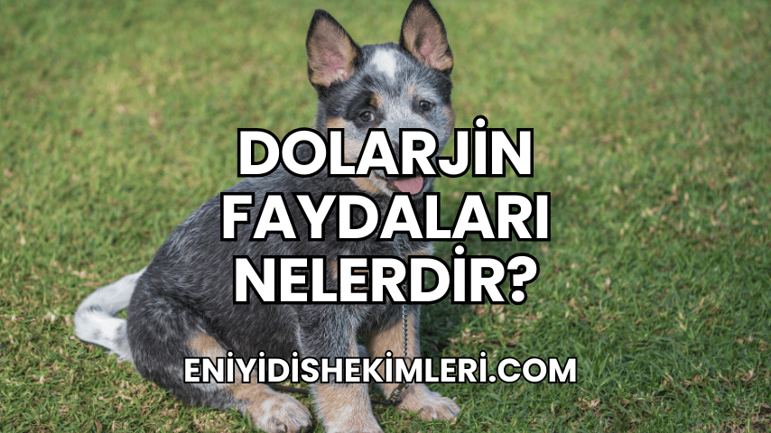 Dolarjin Faydaları Nelerdir?