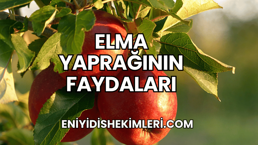 Elma Yaprağının Faydaları