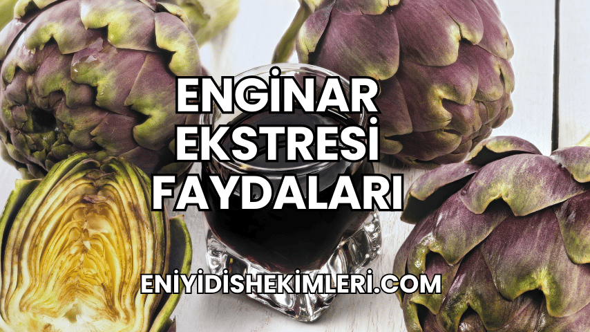 Enginar Ekstresi Faydaları