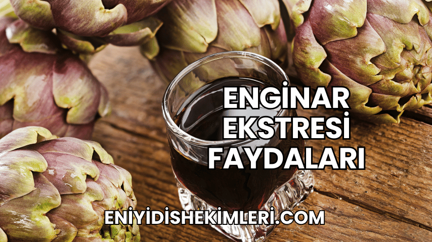 Enginar Ekstresi Faydaları