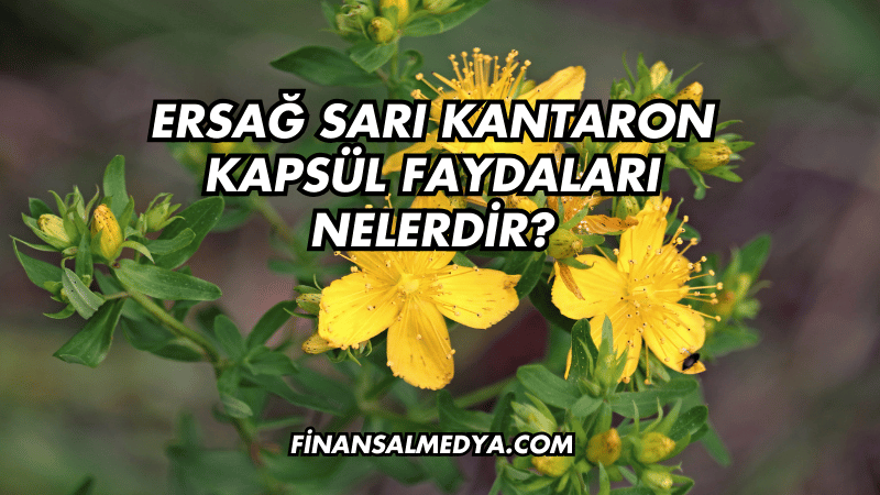 Ersağ Sarı Kantaron Kapsül Faydaları Nelerdir?