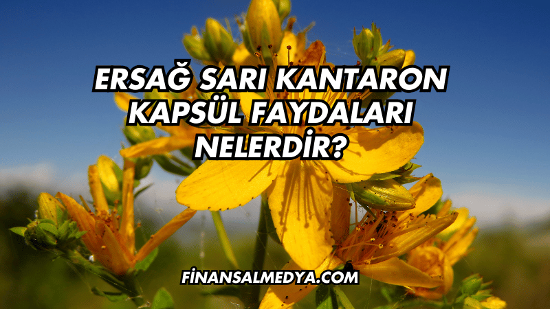 Ersağ Sarı Kantaron Kapsül Faydaları Nelerdir?