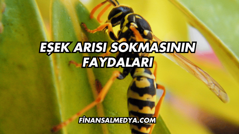 Eşek Arısı Sokmasının Faydaları