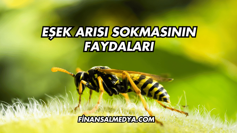 Eşek Arısı Sokmasının Faydaları