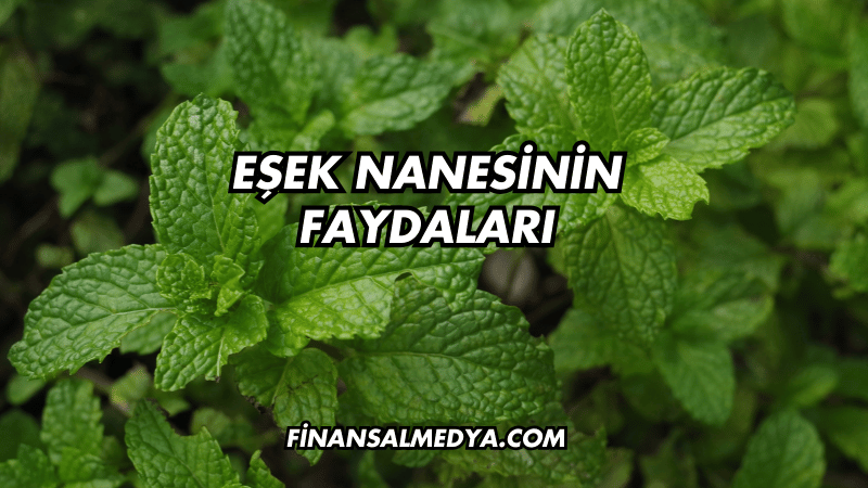 Eşek Nanesinin Faydaları