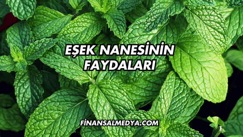 Eşek Nanesinin Faydaları