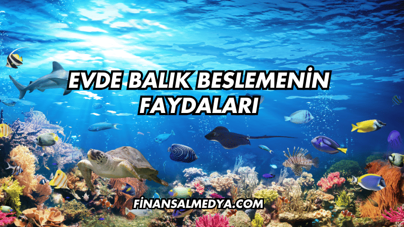 Evde Balık Beslemenin Faydaları