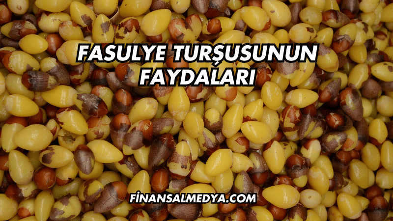 Fasulye Turşusunun Faydaları