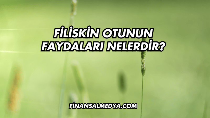 Filiskin Otunun Faydaları Nelerdir?