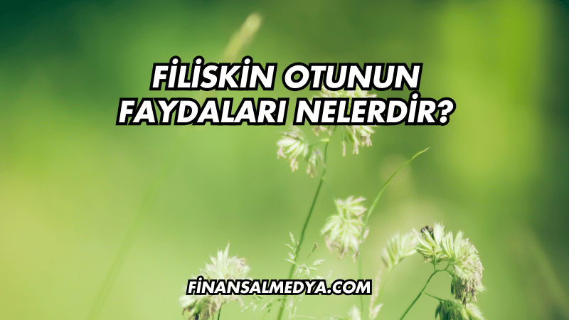 Filiskin Otunun Faydaları Nelerdir?