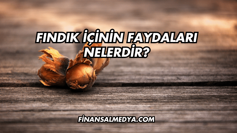 Fındık İçinin Faydaları Nelerdir?