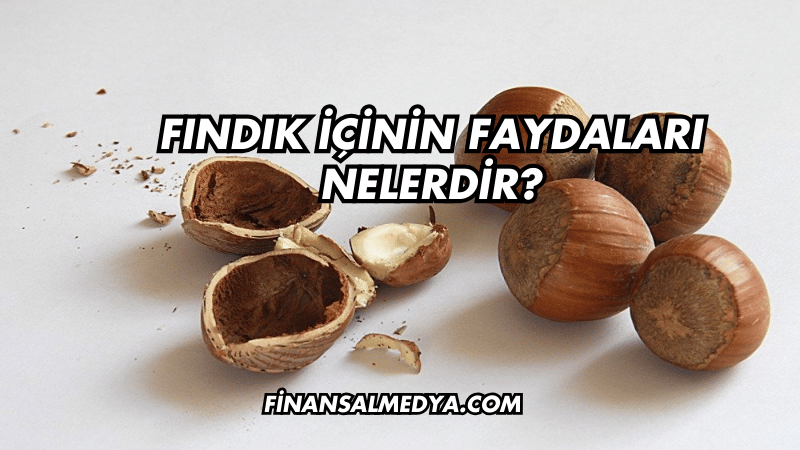 Fındık İçinin Faydaları Nelerdir?