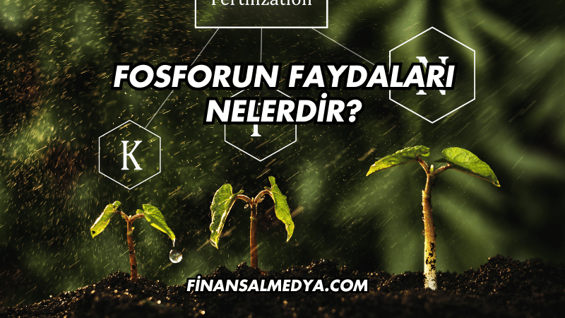 Fosforun Faydaları Nelerdir?