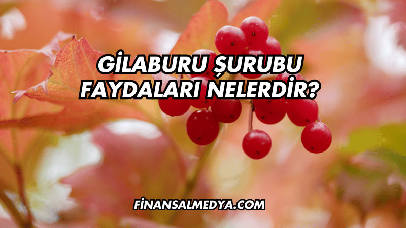 Gilaburu Şurubu Faydaları Nelerdir?