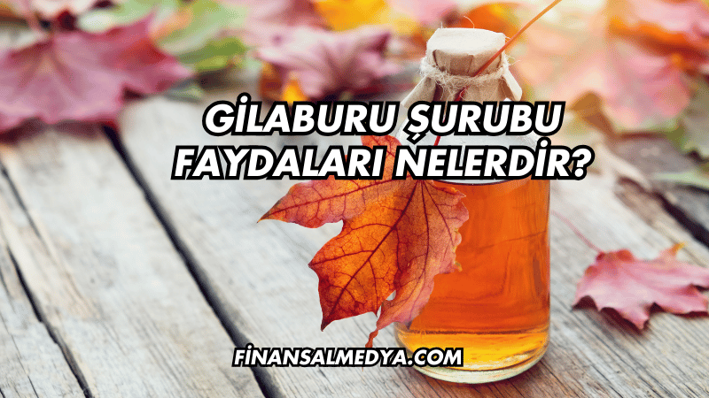 Gilaburu Şurubu Faydaları Nelerdir?