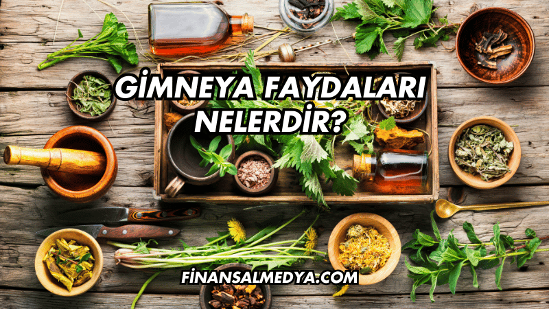 Gimneya Faydaları Nelerdir?